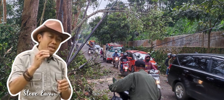 Pohon tumbang di Jalan Kolonel Masturi kawasan Curug Pelangi