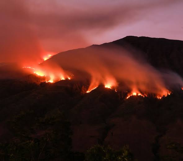 Kebakaran Meluas, Objek Wisata Bromo Ditutup