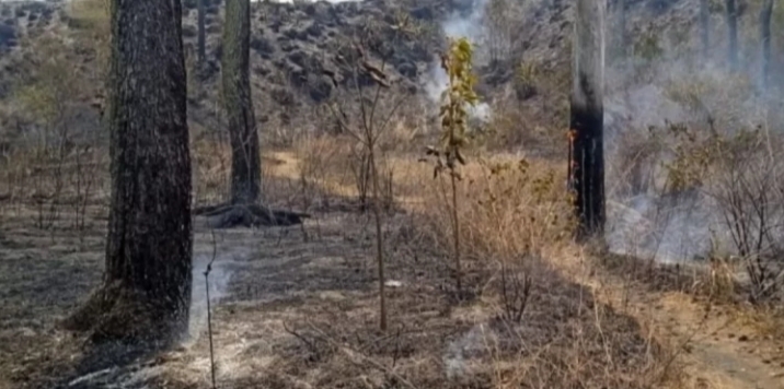 Sejumlah titik api di kawasan hutan Gunung Guntur Kabupaten Garut (foto: BKSDA)